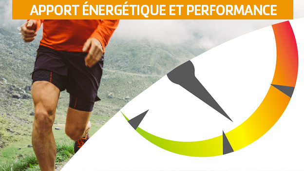 Apport énergétique et performance